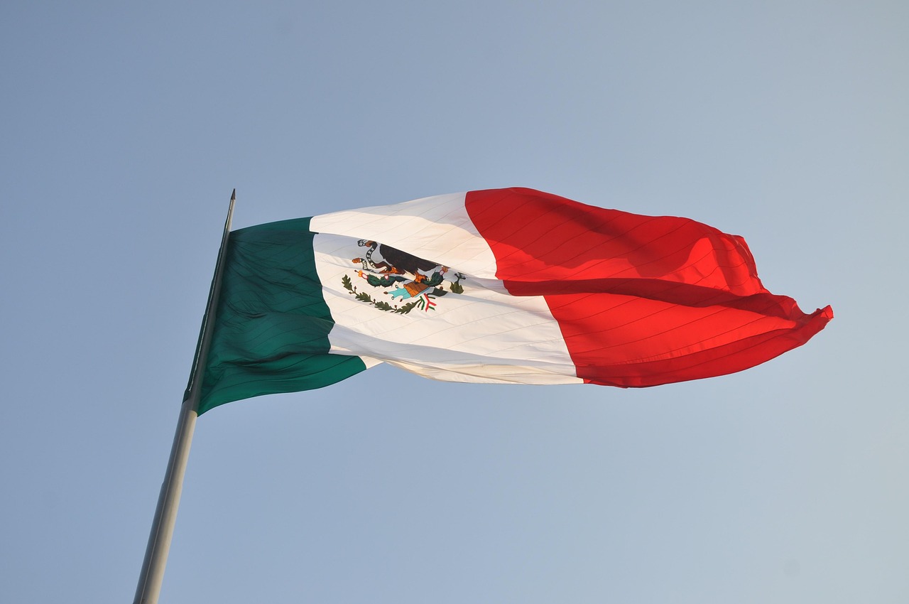 Why Was The Mexican Flag Chosen To Be The Primary Symbol Of The “Color Revolution” That Has Erupted In Los Angeles?