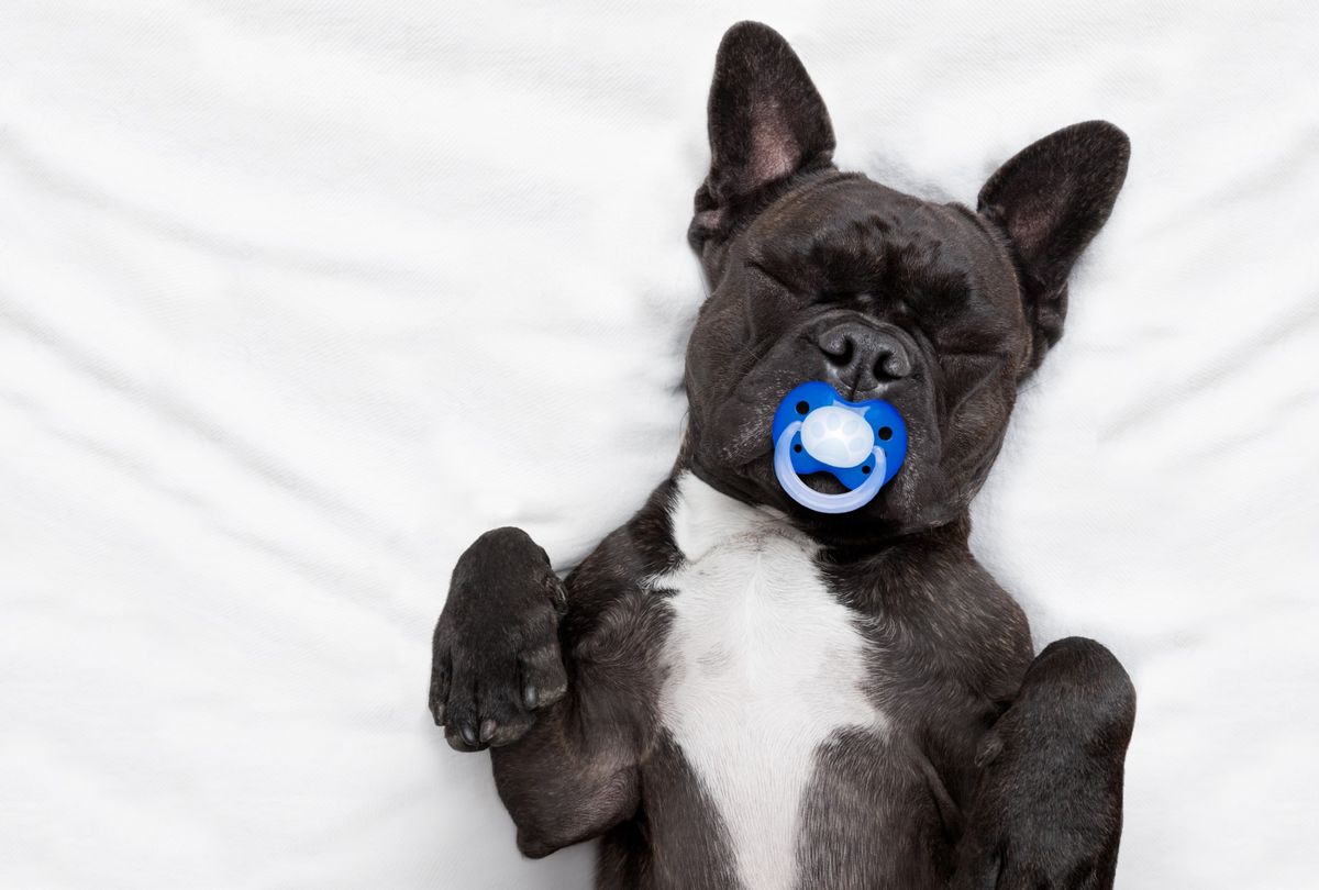 Poop is poop: It’s time to legitimize pet parents