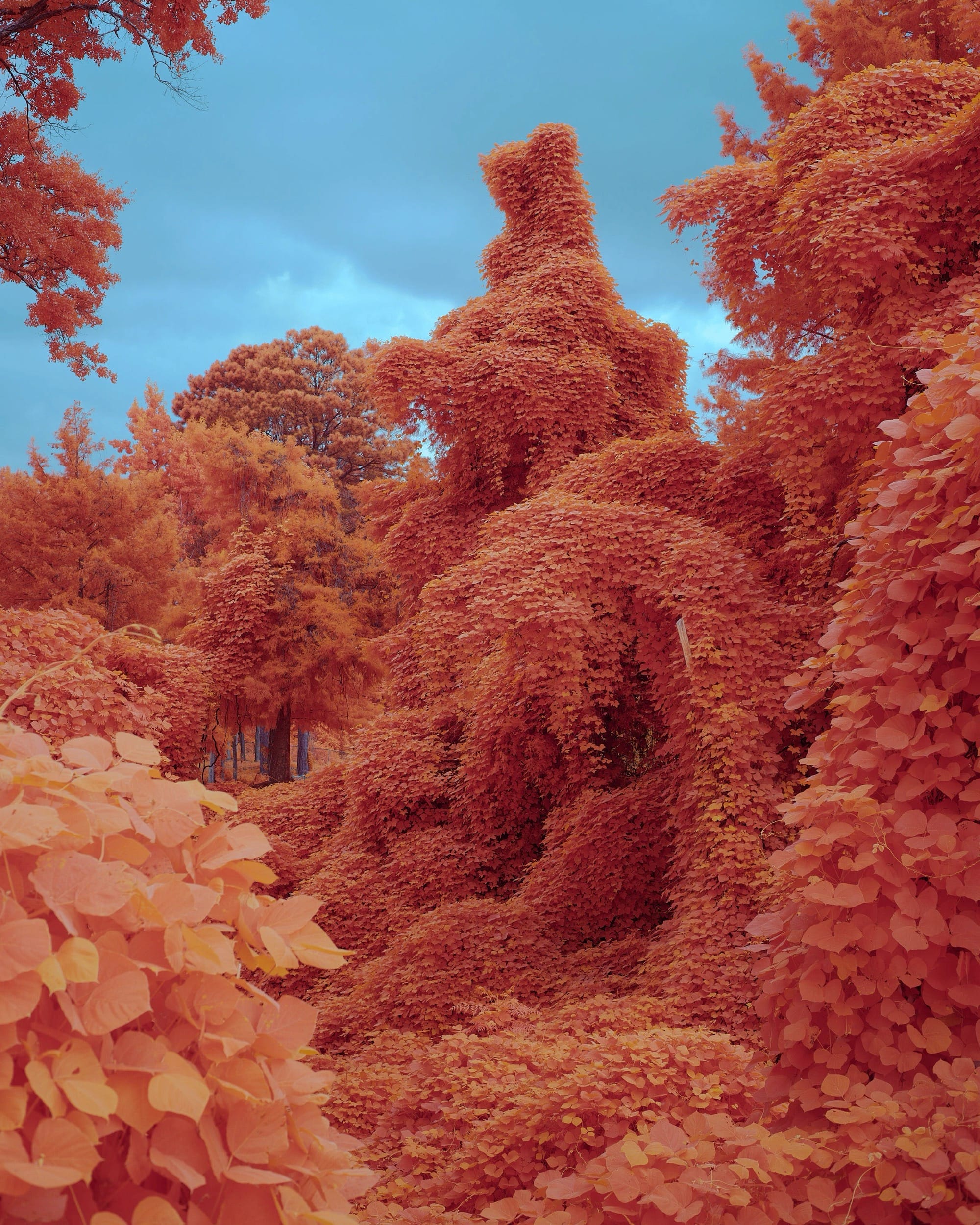 Kudzu Engulfs Everything in Its Path in Zac Henderson’s ‘Palimpsest’ — Colossal